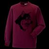 Kids raglan sleeve sweatshirt Thumbnail