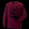 Kids raglan sleeve sweatshirt Thumbnail