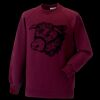 Kids raglan sleeve sweatshirt Thumbnail