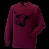 Kids raglan sleeve sweatshirt Thumbnail