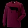 Kids raglan sleeve sweatshirt Thumbnail