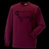 Kids raglan sleeve sweatshirt Thumbnail