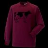 Kids raglan sleeve sweatshirt Thumbnail