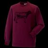 Kids raglan sleeve sweatshirt Thumbnail