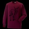 Kids raglan sleeve sweatshirt Thumbnail