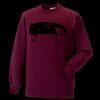 Kids raglan sleeve sweatshirt Thumbnail