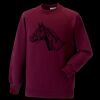 Kids raglan sleeve sweatshirt Thumbnail