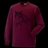 Kids raglan sleeve sweatshirt Thumbnail