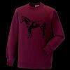 Kids raglan sleeve sweatshirt Thumbnail