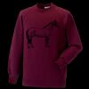Kids raglan sleeve sweatshirt Thumbnail