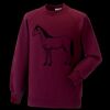 Kids raglan sleeve sweatshirt Thumbnail