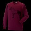 Kids raglan sleeve sweatshirt Thumbnail