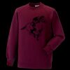 Kids raglan sleeve sweatshirt Thumbnail