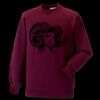 Kids raglan sleeve sweatshirt Thumbnail