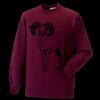 Kids raglan sleeve sweatshirt Thumbnail