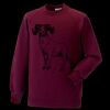 Kids raglan sleeve sweatshirt Thumbnail