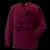 Kids raglan sleeve sweatshirt Thumbnail