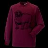 Kids raglan sleeve sweatshirt Thumbnail