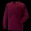 Kids raglan sleeve sweatshirt Thumbnail