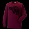 Kids raglan sleeve sweatshirt Thumbnail