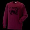 Kids raglan sleeve sweatshirt Thumbnail
