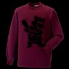 Kids raglan sleeve sweatshirt Thumbnail