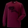 Kids raglan sleeve sweatshirt Thumbnail
