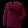 Kids raglan sleeve sweatshirt Thumbnail
