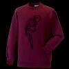 Kids raglan sleeve sweatshirt Thumbnail