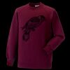 Kids raglan sleeve sweatshirt Thumbnail