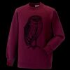 Kids raglan sleeve sweatshirt Thumbnail