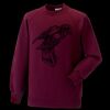 Kids raglan sleeve sweatshirt Thumbnail