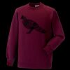 Kids raglan sleeve sweatshirt Thumbnail