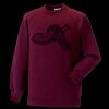 Kids raglan sleeve sweatshirt Thumbnail