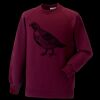 Kids raglan sleeve sweatshirt Thumbnail