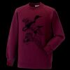 Kids raglan sleeve sweatshirt Thumbnail