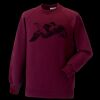 Kids raglan sleeve sweatshirt Thumbnail