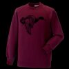Kids raglan sleeve sweatshirt Thumbnail