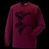 Kids raglan sleeve sweatshirt Thumbnail