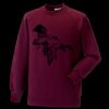 Kids raglan sleeve sweatshirt Thumbnail