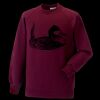 Kids raglan sleeve sweatshirt Thumbnail