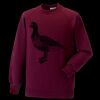 Kids raglan sleeve sweatshirt Thumbnail