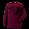 Kids raglan sleeve sweatshirt Thumbnail