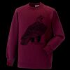 Kids raglan sleeve sweatshirt Thumbnail