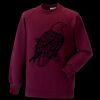 Kids raglan sleeve sweatshirt Thumbnail