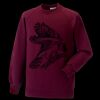 Kids raglan sleeve sweatshirt Thumbnail