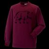 Kids raglan sleeve sweatshirt Thumbnail
