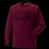 Kids raglan sleeve sweatshirt Thumbnail