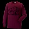 Kids raglan sleeve sweatshirt Thumbnail