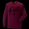 Kids raglan sleeve sweatshirt Thumbnail